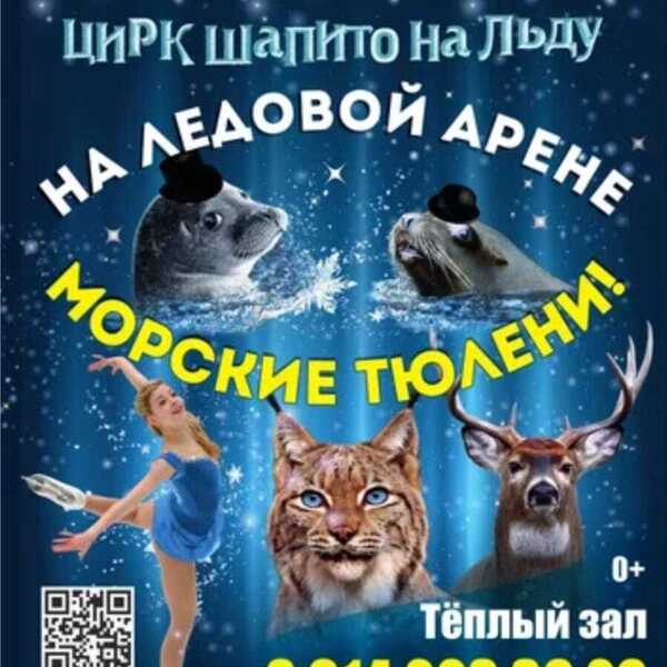 Цирк на льду